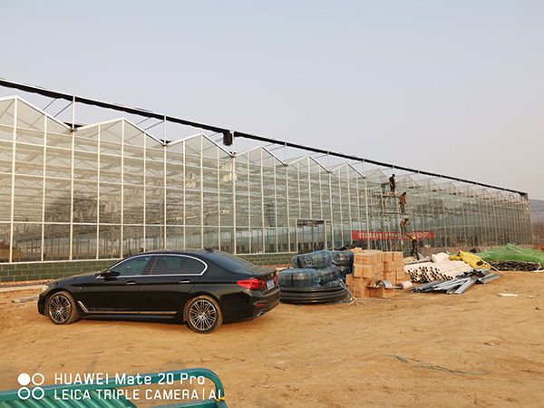 济南平阴芳蕾集团温室大棚项目