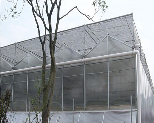 阳光板连栋温室