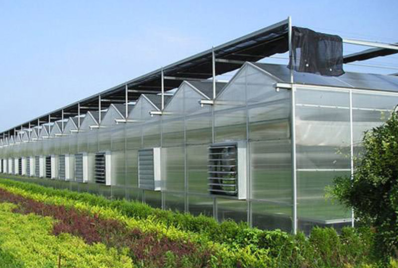 PC阳光板温室大棚解决方案