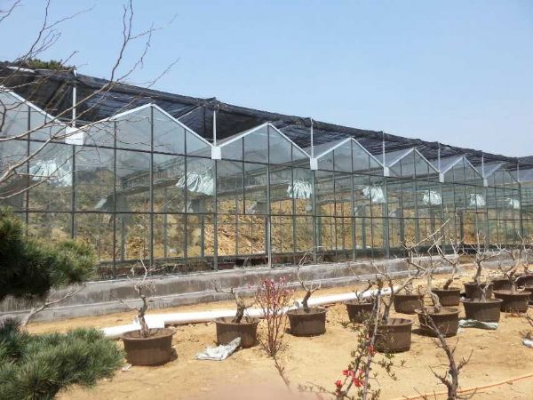 产业园玻璃温室
