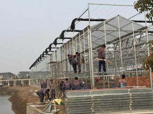 青岛平度龙翔文洛温室施工