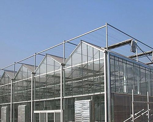 大型玻璃温室大棚