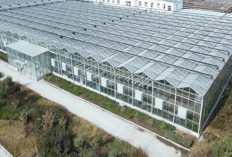 连栋温室大棚解决方案