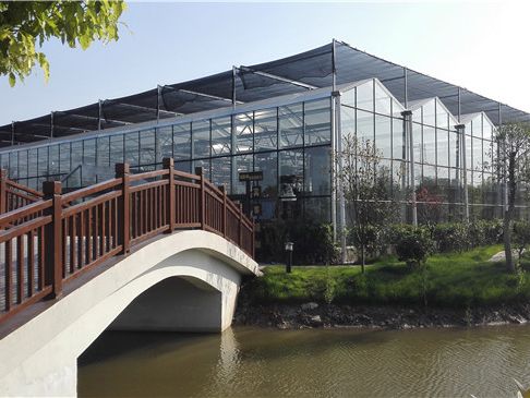 威海蓝莓生态餐厅施工